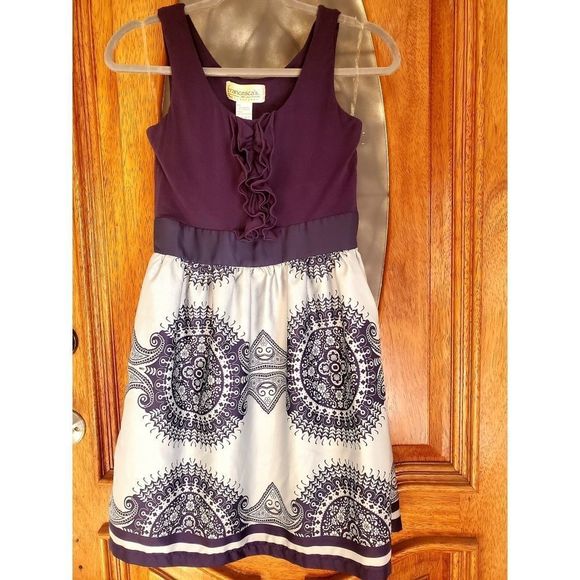 Francesca's Collections Dresses & Skirts - Francesca's Collections Purple Silver Ruffle Accent Dress